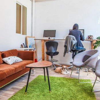 Treehouse Society - Relaxed working environment. We welcome dogs here. - Venues & Event Spaces Near Me - San Francisco, California Treehouse Society - Relaxed working environment. We welcome dogs here. - Venues & Event Spaces Near Me - San Francisco, California
