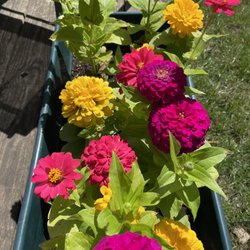 Canton Floral Gardens Greenhouse