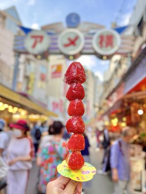 Ueno Ameyoko Shopping Street by null