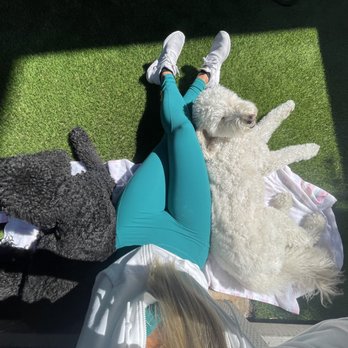 Smart Turf - Artificial Turf Near Me - Santa Ana, California