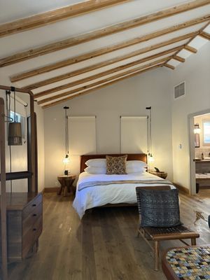 Two Bunch Palms by null