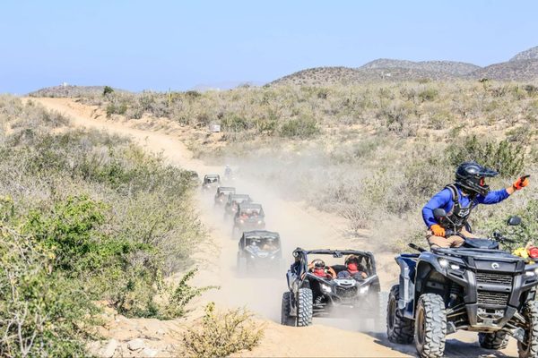 Cabo Adventures by null