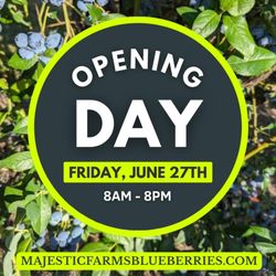 Mark your calendars -- Opening Day is Friday, June 27th at 8am! Our Earliblue crop will be ripe, plump, and ready for picking! Credit cards,
