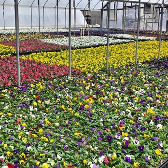 Riddle Plant Farm - Nurseries & Gardening Near Me - Sand Springs, Oklahoma Riddle Plant Farm - Nurseries & Gardening Near Me - Sand Springs, Oklahoma
