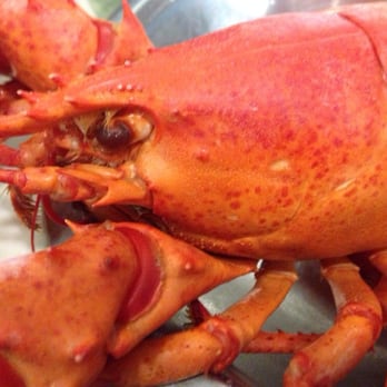 Anchor Pub & Grille - Lobster - Seafood Near Me - Beverly, Massachusetts