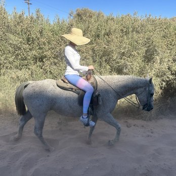 Wild West Horseback Adventures - Not a cowboy hat but it did the job! - Horseback Riding Near Me - Las Vegas, Nevada Wild West Horseback Adventures - Not a cowboy hat but it did the job! - Horseback Riding Near Me - Las Vegas, Nevada