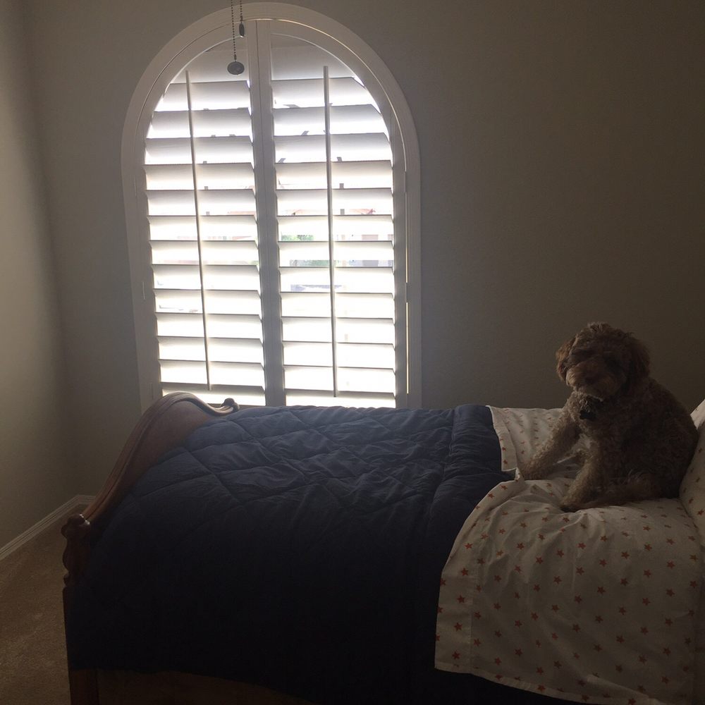 Boyd's Blinds - Even the dog loves Boyd's work! - Shades & Blinds Near Me - Phoenix , Arizona
