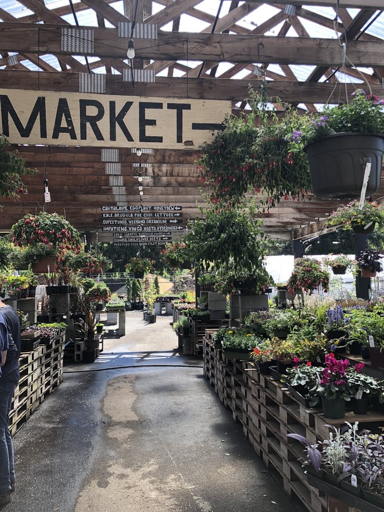 J&B GARDEN CENTER Updated September 2024 350 NW Hickory St, Albany, Oregon Nurseries