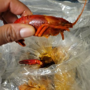 Hook & Catch Cajun Seafood - Crawfish that i named Lester - Cajun/Creole Near Me - New York, New York