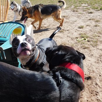 Robinson Duck Farm Dog Park - Dog Parks Near Me - Brookhaven, New York