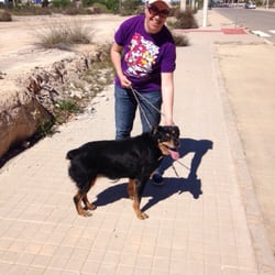 Pon un Perro en Tu Vida @ SVPAP - Passejant a Silvia.