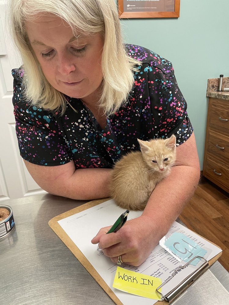 CUMBERLAND ANIMAL HOSPITAL Updated September 2024 24 Hillcrest Rd