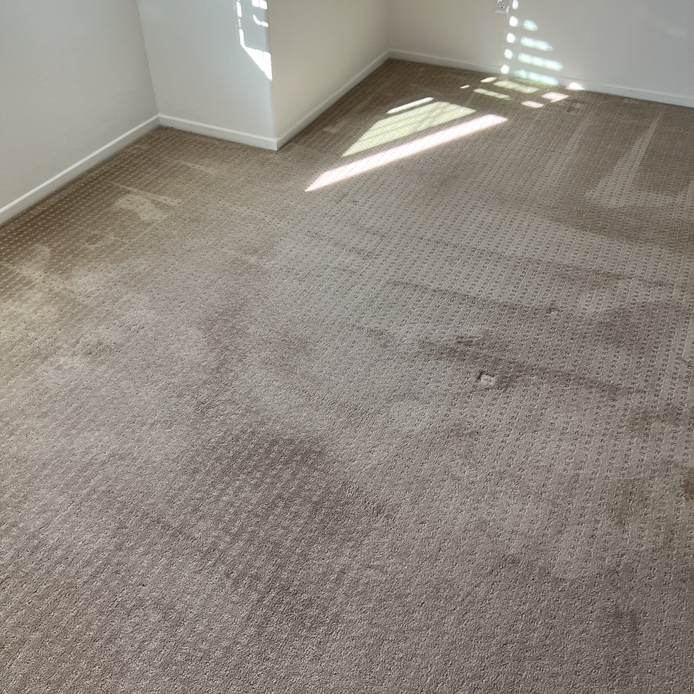 Stanley Steemer - Carpet Cleaning Near Me - Oxnard, California