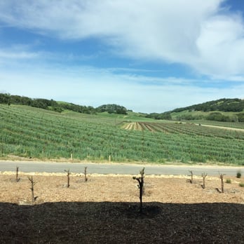 Halter Ranch - View from tasting room - Wineries Near Me - Paso Robles, California