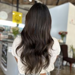Lloyd Horibe's Hairscapes