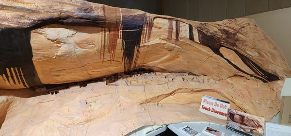 Navajo National Monument by null