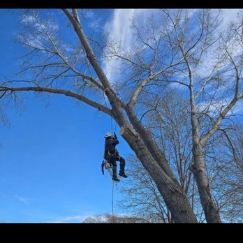 Hemlock Tree Service - Tree Services Near Me - Sioux City, Iowa