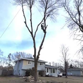 Antonios Tree Service - Tree removal - Tree Services Near Me - Mounds View, Minnesota Antonios Tree Service - Tree removal - Tree Services Near Me - Mounds View, Minnesota