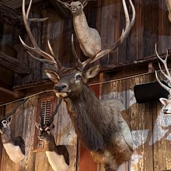 YO Ranch Headquarters