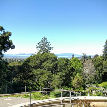 The Berkeley Rose Garden - View from the top of the gardens. - Botanical Gardens Near Me - Berkeley, California The Berkeley Rose Garden - View from the top of the gardens. - Botanical Gardens Near Me - Berkeley, California
