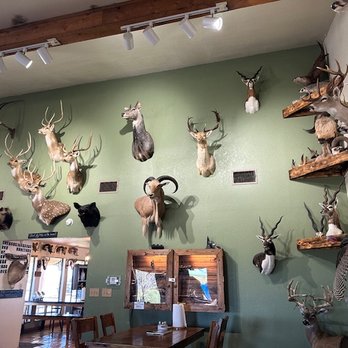 4 Amigos Ranch - Wildlife Hunting Ranges Near Me - Eagle Pass, Texas