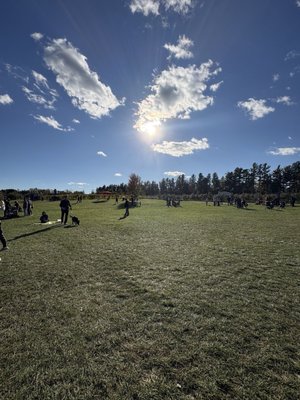 Aamodt's Apple Farm by null