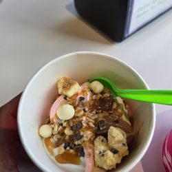 Froyo & Fido