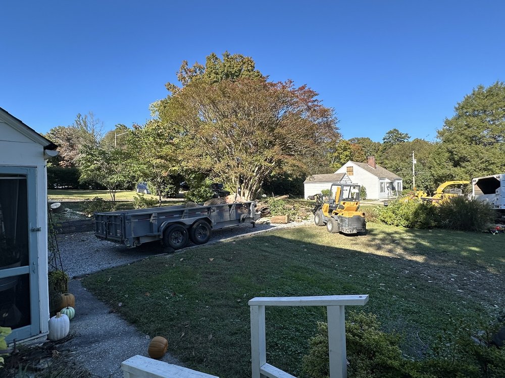 Dogwood Arboriculture - tree service in Knoxville, TN