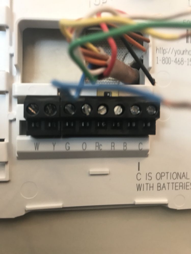 Slide of Tavon Martin Home Maintenance Professional