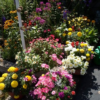 Green Escapes - English Perennial Garden - Landscaping Near Me