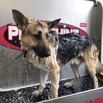 The Wash Shop - Car Wash Near Me - Merced, California