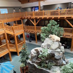 C'mon Inn Hotel & Suites - Missoula - The center of the C'mon Inn