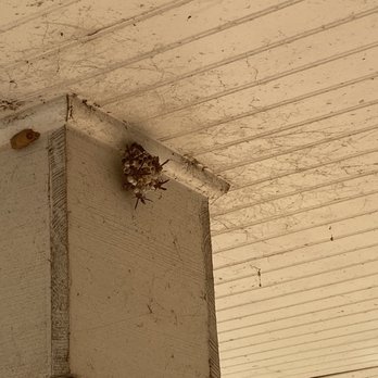 Collegetown Properties - Nasty porch and wasps for all your porch gatherings!! - Property Management Near Me - Athens, Georgia