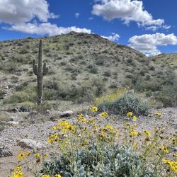 Sonoran Preserve