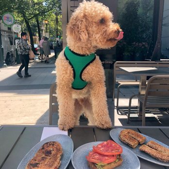 K'Far Cafe - Avocado toast, Jerusalem bagel - Cafes Near Me - Philadelphia, Pennsylvania K'Far Cafe - Avocado toast, Jerusalem bagel - Cafes Near Me - Philadelphia, Pennsylvania