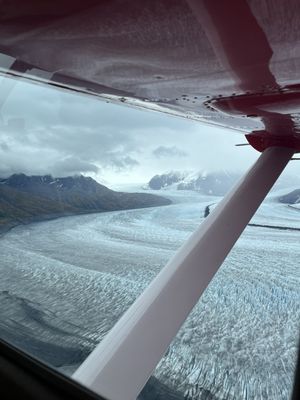 Rust's Flying Service by null