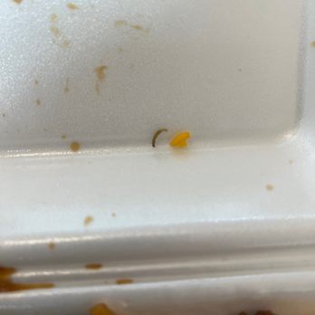 China Express - An insect - Chinese Near Me - Charlottesville, Virginia China Express - An insect - Chinese Near Me - Charlottesville, Virginia