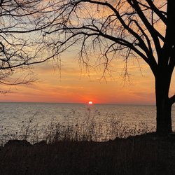 South Shore Nature Sanctuary - Sunrise coming up from the lake & through the trees
