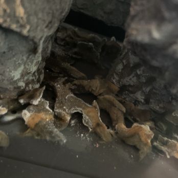 Southwest Fireplace - Old embers, I had no idea these were needing to be replaced. - Fireplace Services Near Me - Frankfort, Illinois