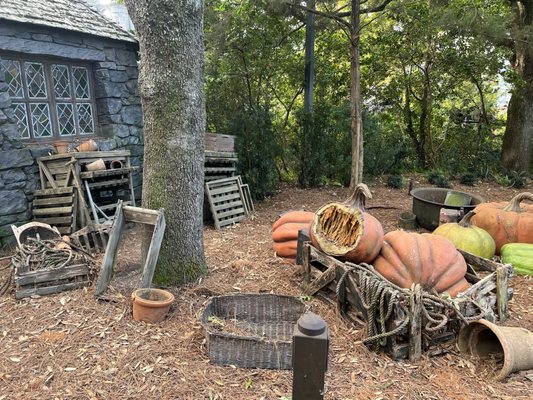 Hagrid’s Magical Creatures Motorbike Adventure by null