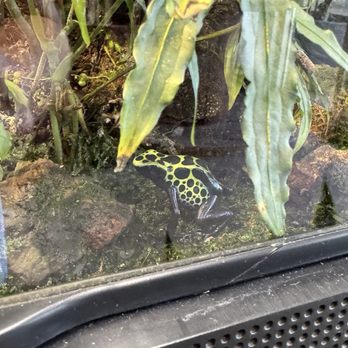 Jungle Box - Nurseries & Gardening Near Me - Phoenix, Arizona