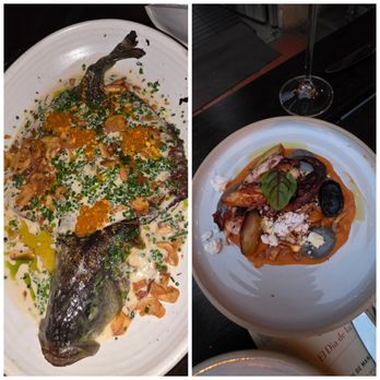 Loquita - Branzino and octopus... You're welcome! - Spanish Near Me - Santa Barbara, California Loquita - Branzino and octopus... You're welcome! - Spanish Near Me - Santa Barbara, California