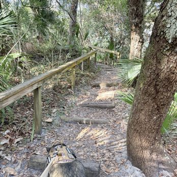 Anastasia State Park - Ancient Trail - Parks Near Me - Saint Augustine, Florida