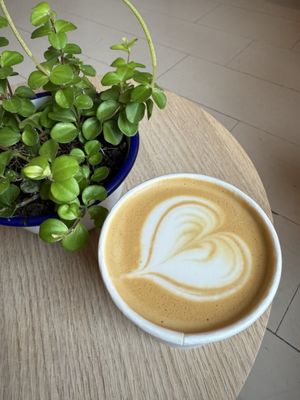 Coffeewerk + Press by null