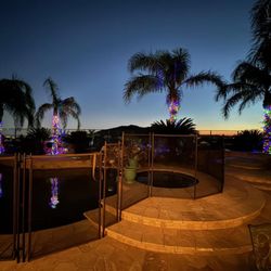 High Valley Christmas Lighting - RGB lights on palm trees
