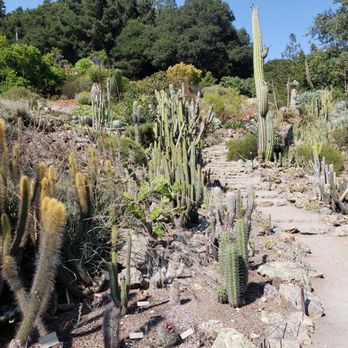 UC Botanical Garden at Berkeley - Botanical Gardens Near Me - Berkeley, California UC Botanical Garden at Berkeley - Botanical Gardens Near Me - Berkeley, California