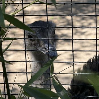 Zoo Boise - Zoos Near Me - Boise, Idaho Zoo Boise - Zoos Near Me - Boise, Idaho