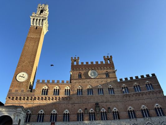 Palazzo Pubblico by null