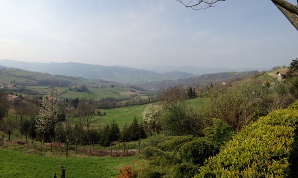 Ristorante Da Fausto by null