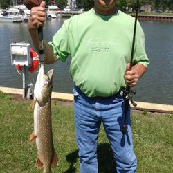 Alexander's Bait & Tackle